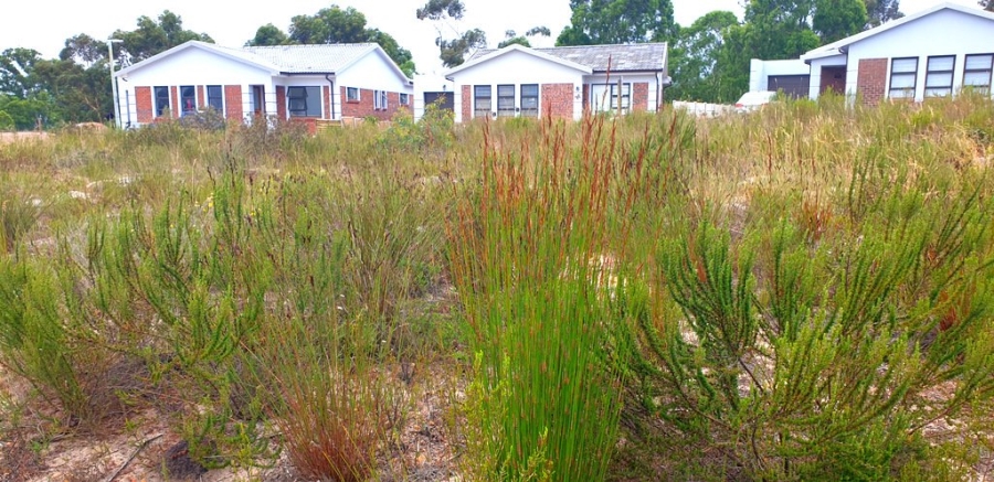  Bedroom Property for Sale in Albertinia Western Cape